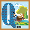 Animal alphabet Q