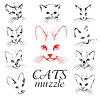Vector clipart: Cats muzzle set