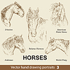 Vector clipart: Set of hand drawing horses 