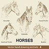 Vector clipart: Set of hand drawing horses 
