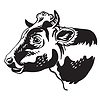 Vector clipart: Monochrome contour portrait of bull