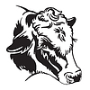 Abstract contour portrait of fluffy cow