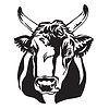 Abstract contour portrait of bull portrait