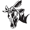 Abstract contour portrait of angry bull