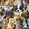 Vector clipart: semless pattern cute realistic dogs heads