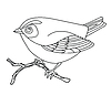 Vector clipart: Song bird