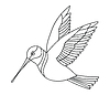 Vector clipart: Song bird