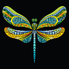 Vector clipart: Dragonfly