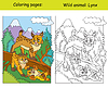 Página de libro para colorear y plantilla de color Lynx | Ilustración vectorial