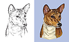 Vector clipart: portrait of cute dog Basenji