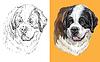 Vector clipart: portrait of cute dog St Bernard