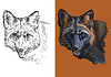 Vector clipart: portrait of cute black fox