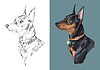 portrait of dog miniature pinscher