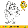 Cute chicken coloring with colorful template