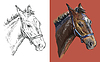 Vector clipart: portrait of horse on red backgound