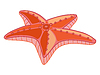 Vector clipart: Funny cartoon red starfish
