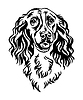 Spaniel dog black contour portrait