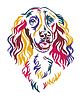 Spaniel dog color contour portrait