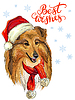 Christmas dog collie