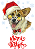 Christmas dog welsh corgi