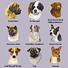 Different dogs breeds big set