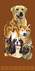 Vector clipart: Vertical poster of different dogs breeds bro