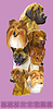 Vertical poster of different dogs breeds pur
