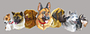 Realistic dogs of different breeds