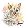 Bengal cat head and camomile flowers