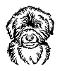 Barbet water dog black contour portrait