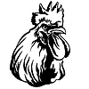Abstract portrait of angry rooster black contour
