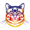 Abstract portrait of cat color contour