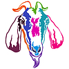Abstract portrait of goat color contour