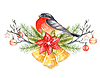Photo 300 DPI: Christmas plants and bullfinch watercolor