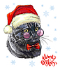 cat in Christmas hat and snowflakes