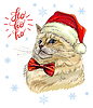 cat in Christmas hat, snowflakes and text