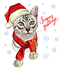 cat in Christmas hat, scarf and snowflakes