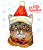cat in Christmas hat, scarf and snowflakes