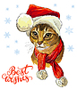 abyssinian cat in Christmas hat, scarf and