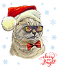 cat in Christmas hat, scarf and snowflakes