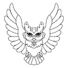 Flying owl bird coloring template