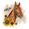 Portrait of horse and sunflowers