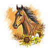 Head of horse with sunflowers