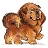 Cute tibetan mastiff dog character funny cartoon illust | Stock Illustration