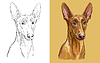 Vector clipart: Pharaon dog portrait