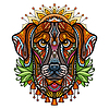 Vector clipart: Abstract head of labrador dog