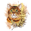 Cute tabby cat in leaves