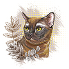 Burmese cat in leaves