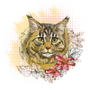 Vector clipart: Cute Maine Coon cat in flowers