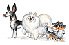 Lindo personaje tres divertidos dibujos animados diferentes perros | Ilustración